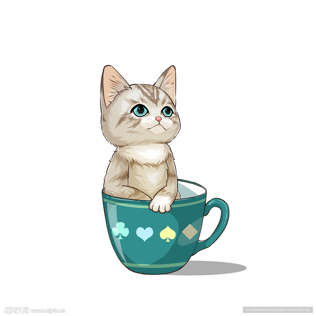 茶杯猫            