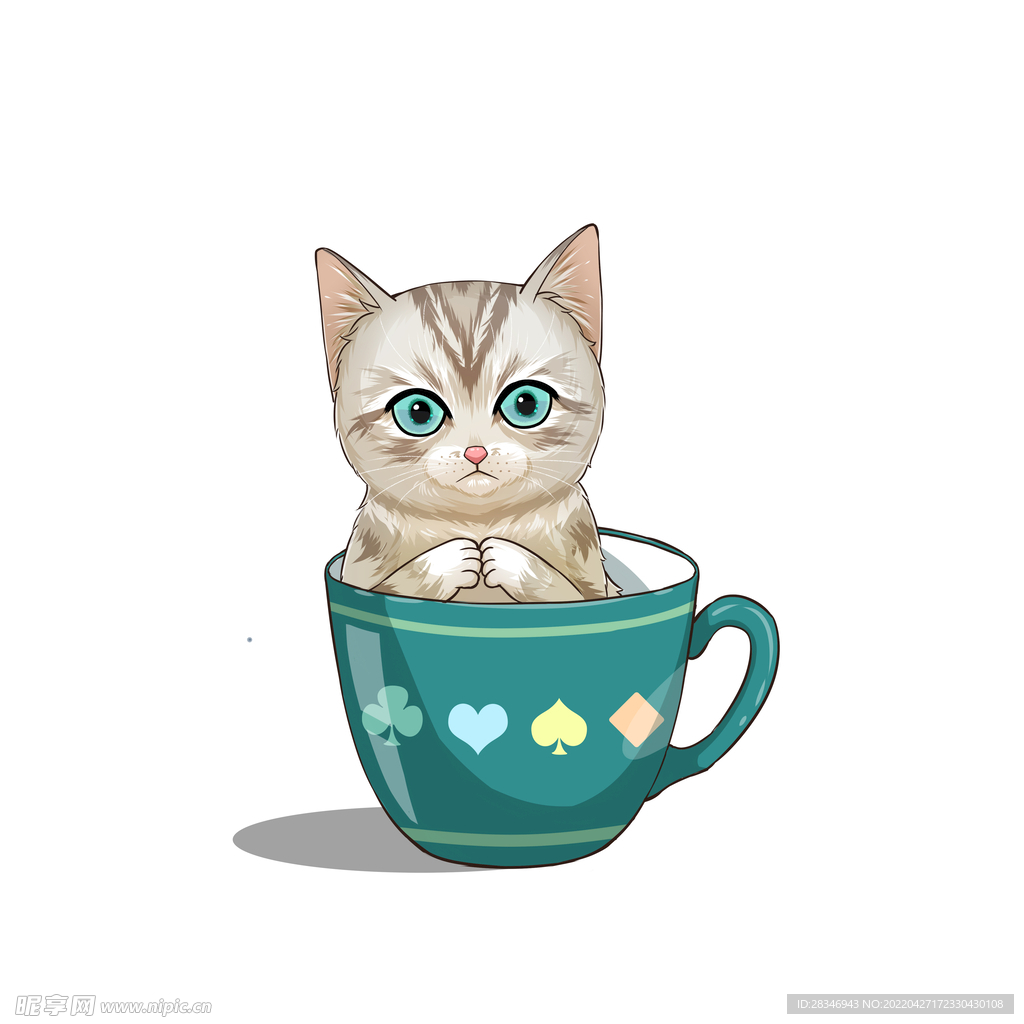 茶杯猫            
