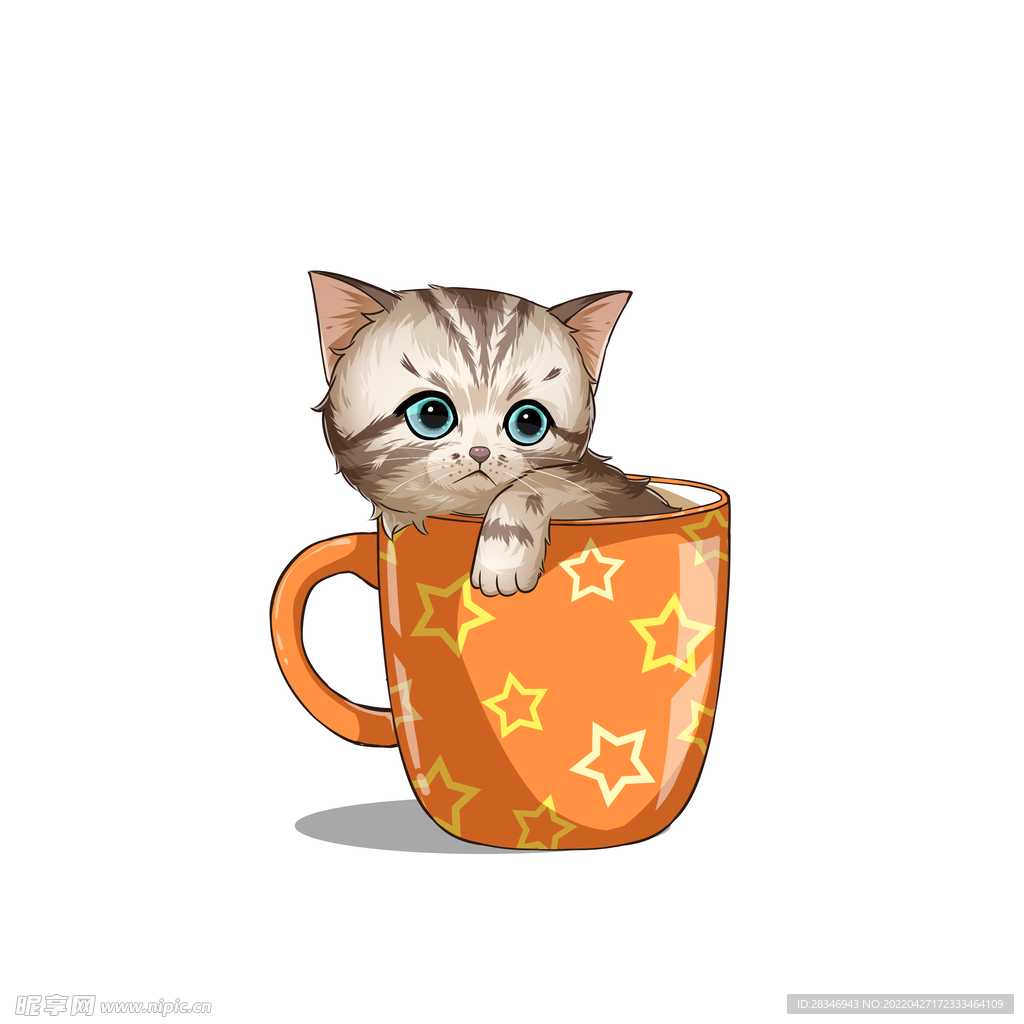 茶杯猫            