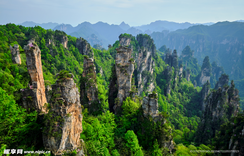 张家界秀丽景观