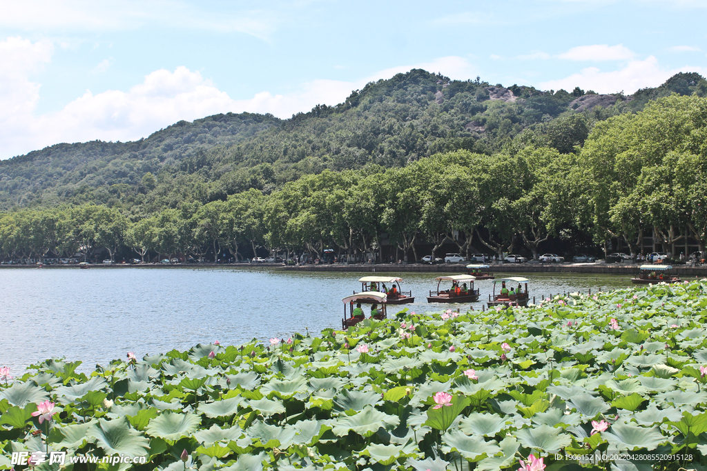 西湖美景