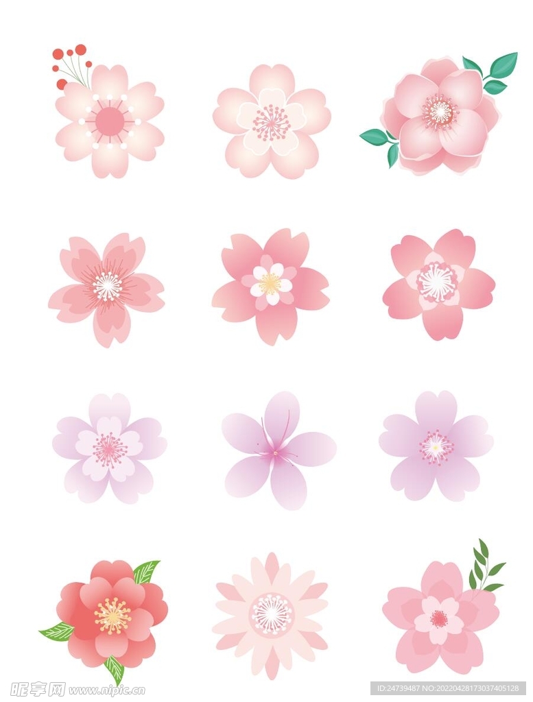 樱花