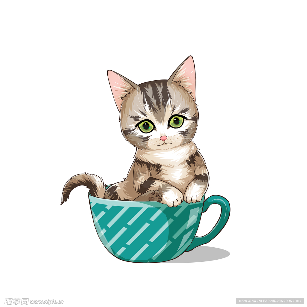 茶杯猫            