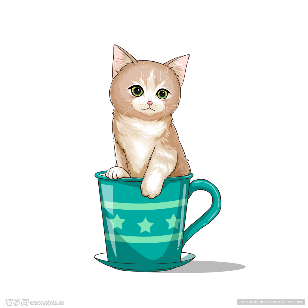 茶杯猫            