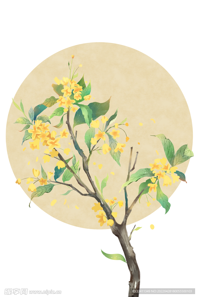   鲜花海报图片