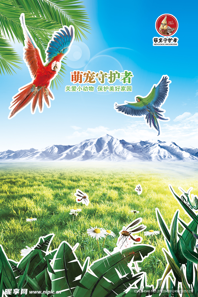 宠物海报