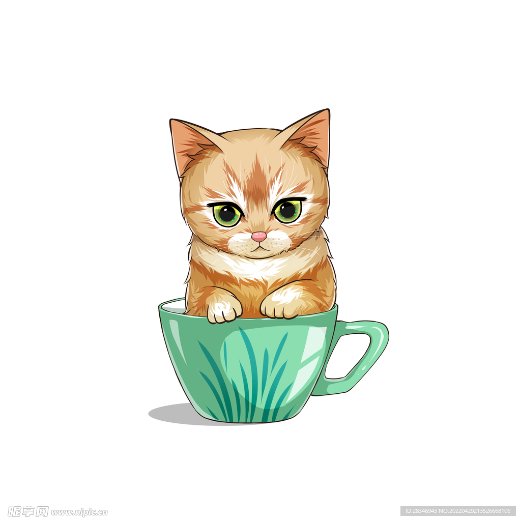 茶杯猫            