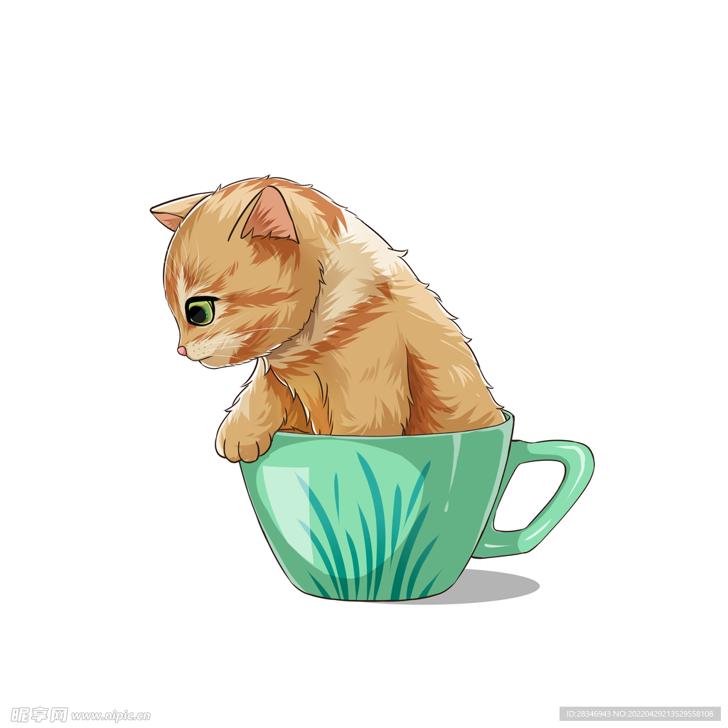茶杯猫            