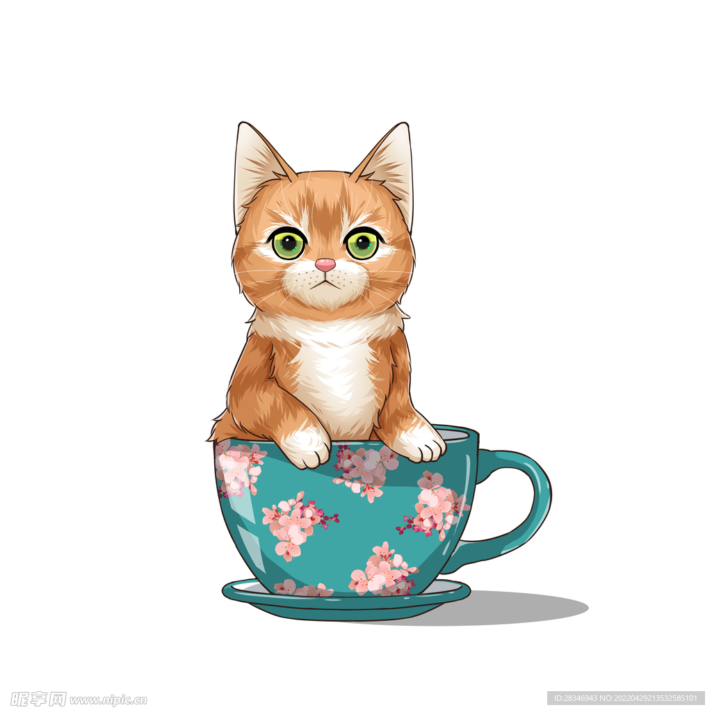 茶杯猫            