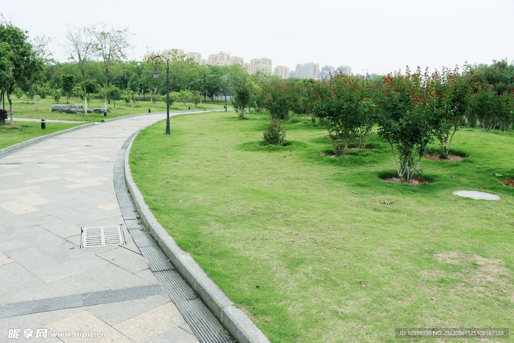 公园草地