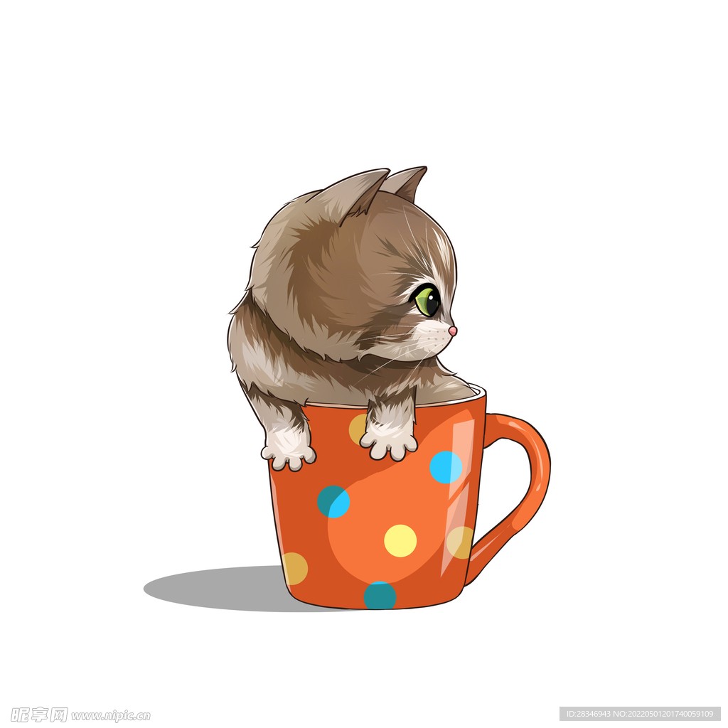 茶杯猫            