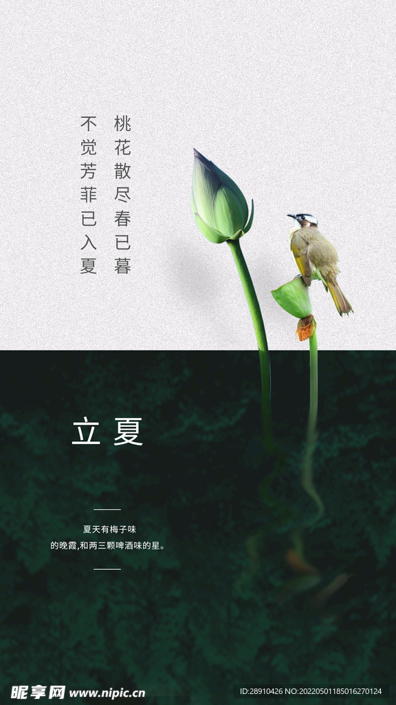 立夏节气海报