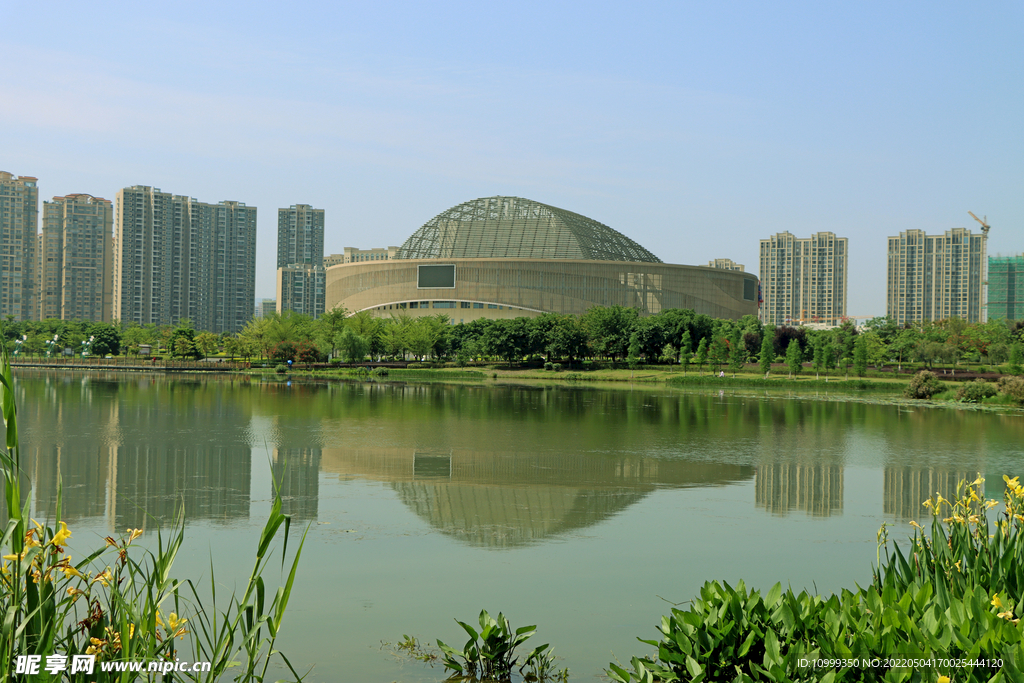 爱莲湖湿地公园风光