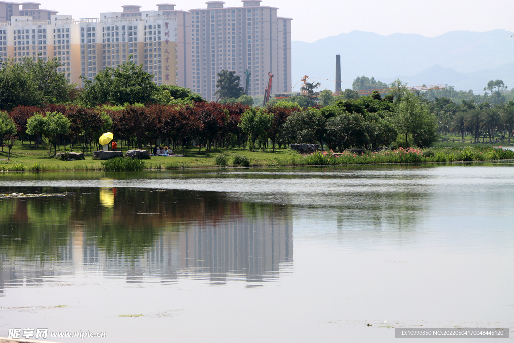 爱莲湖公园风光