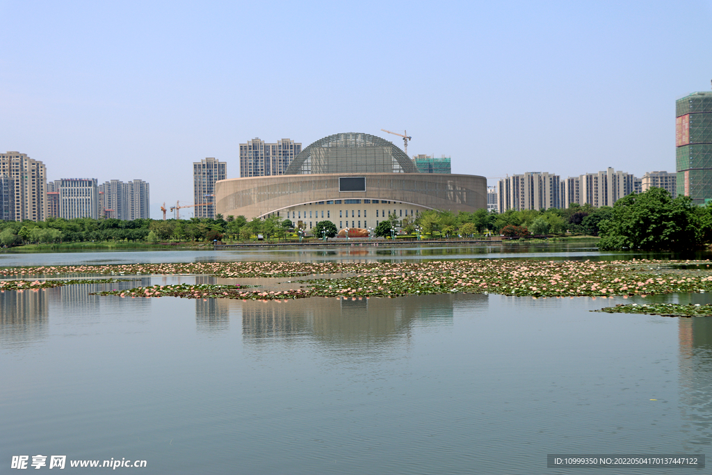 爱莲湖湿地公园风光