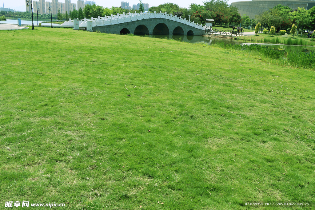 绿草坪