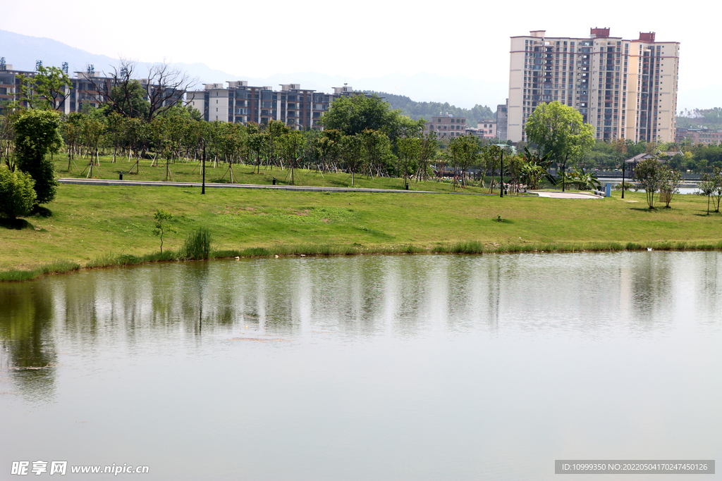 爱莲湖湿地公园风光