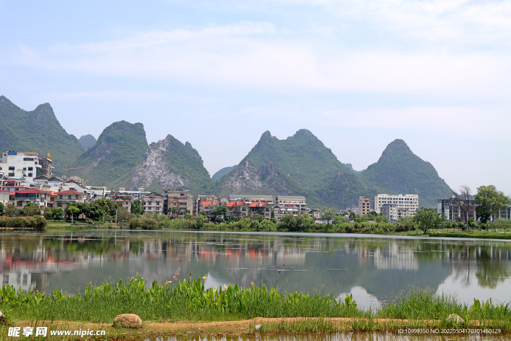 爱莲湖湿地公园风光