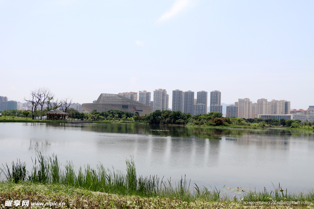 爱莲湖公园