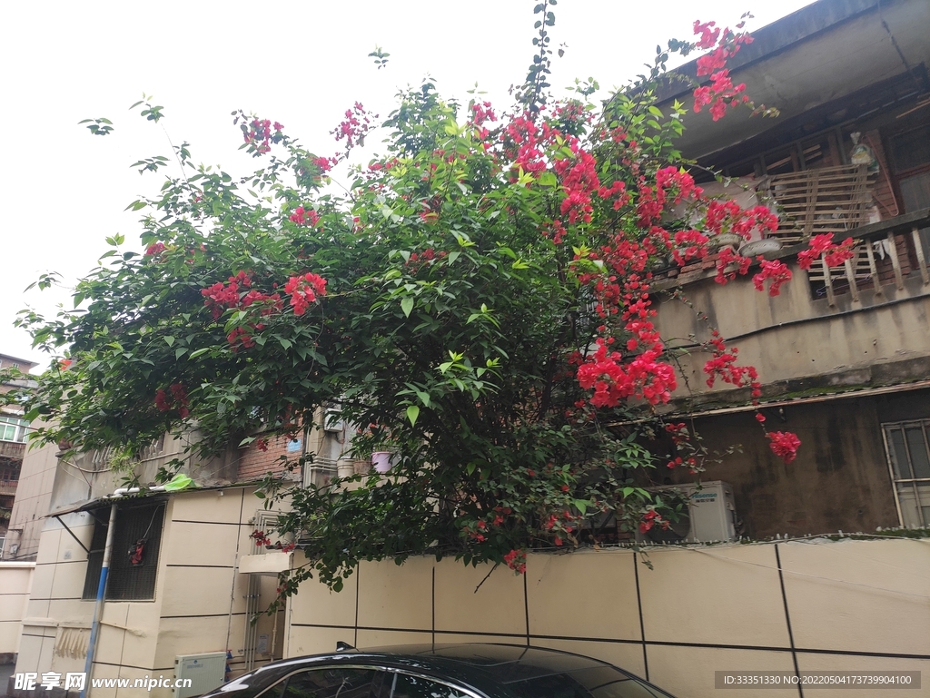 资阳社区整改