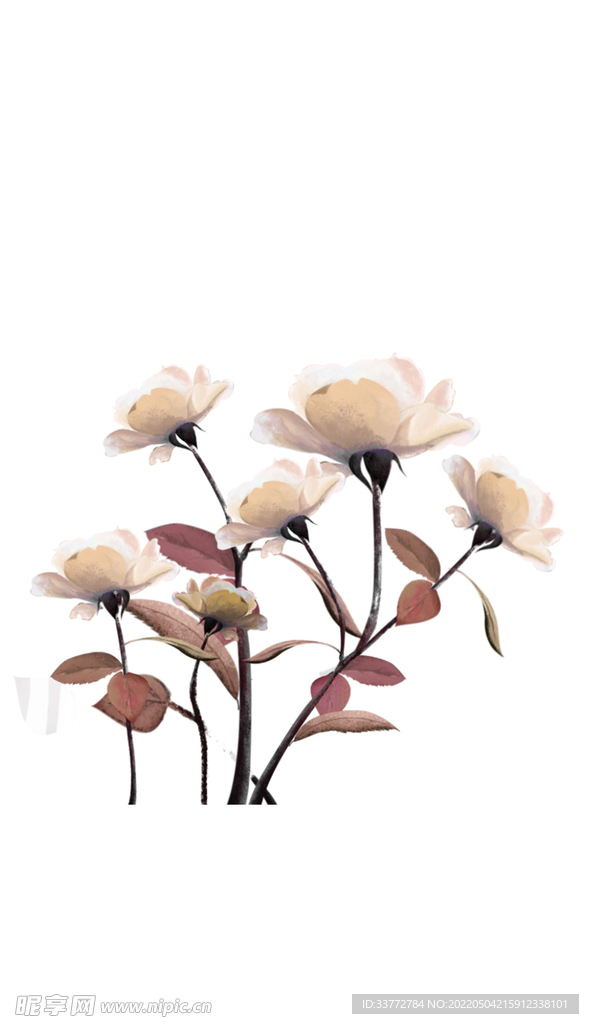 插画春天花花朵手绘植物装饰图案