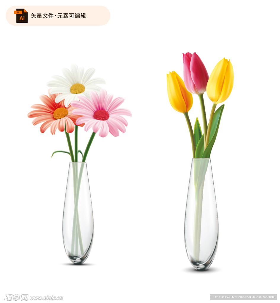 美丽花朵插画矢量图