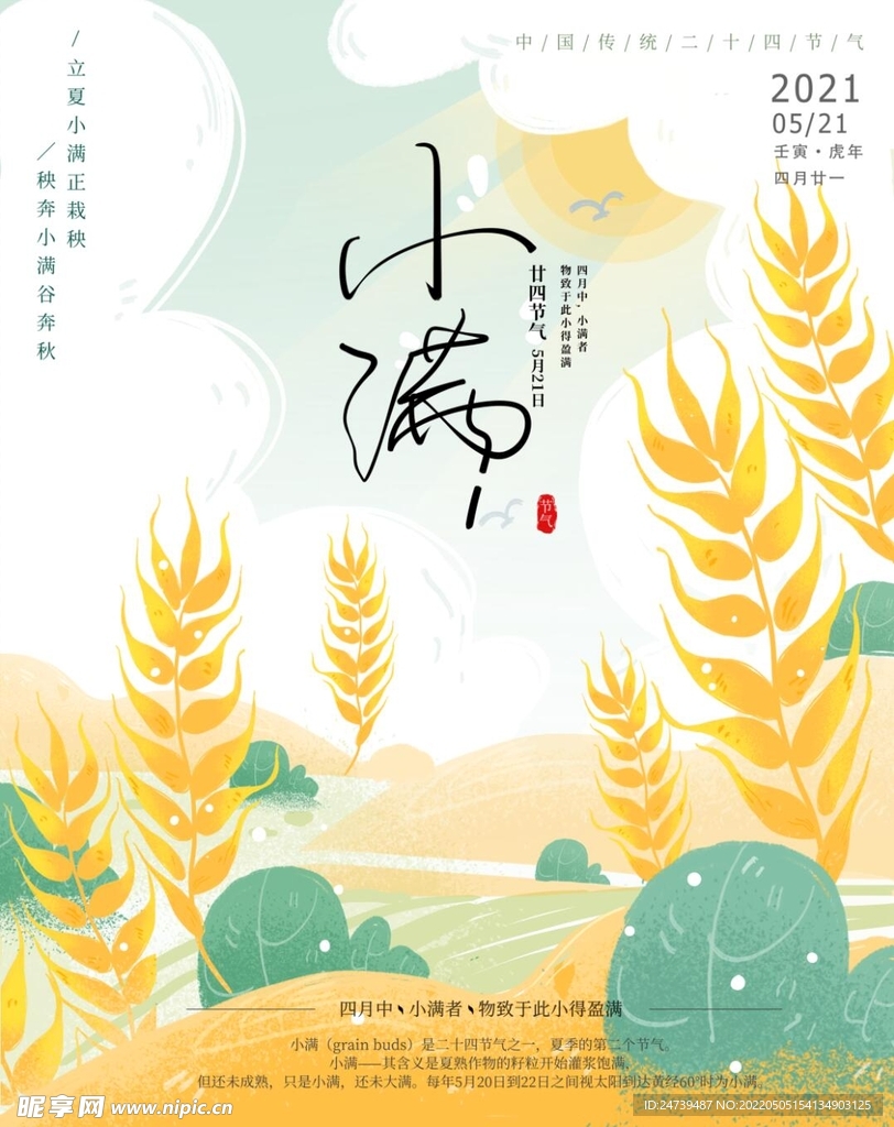 手绘唯美小满节气插画背景