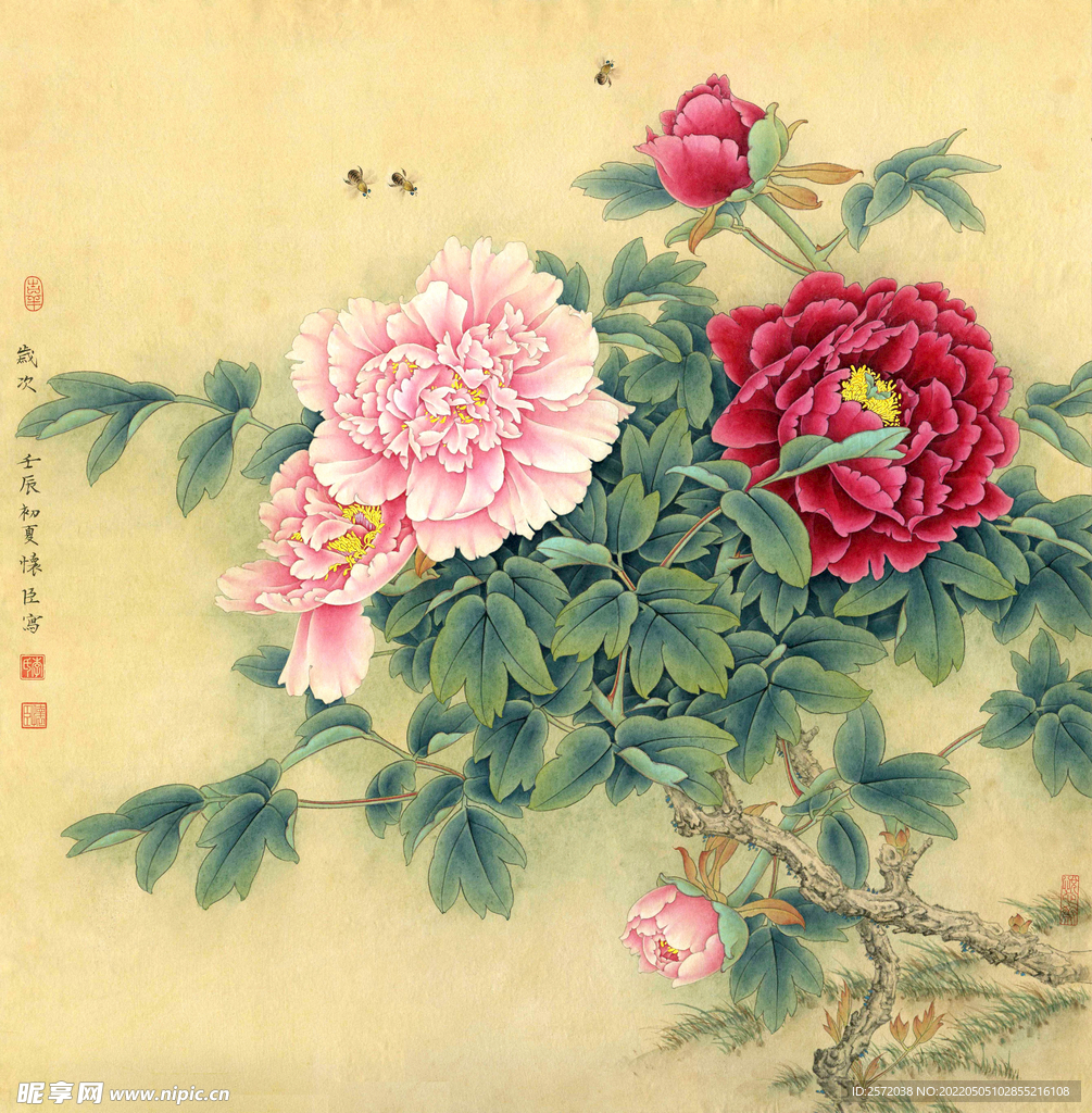 丰姿