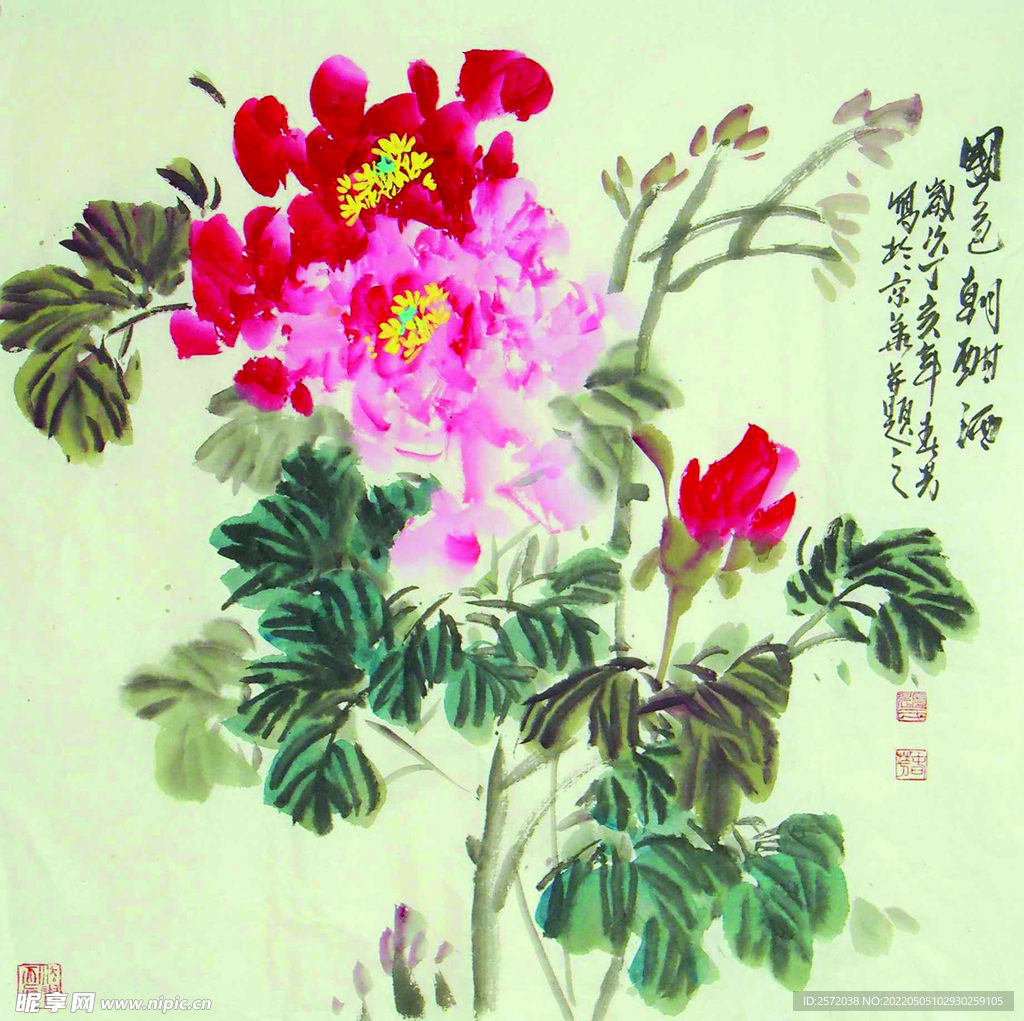 国色朝酣洒