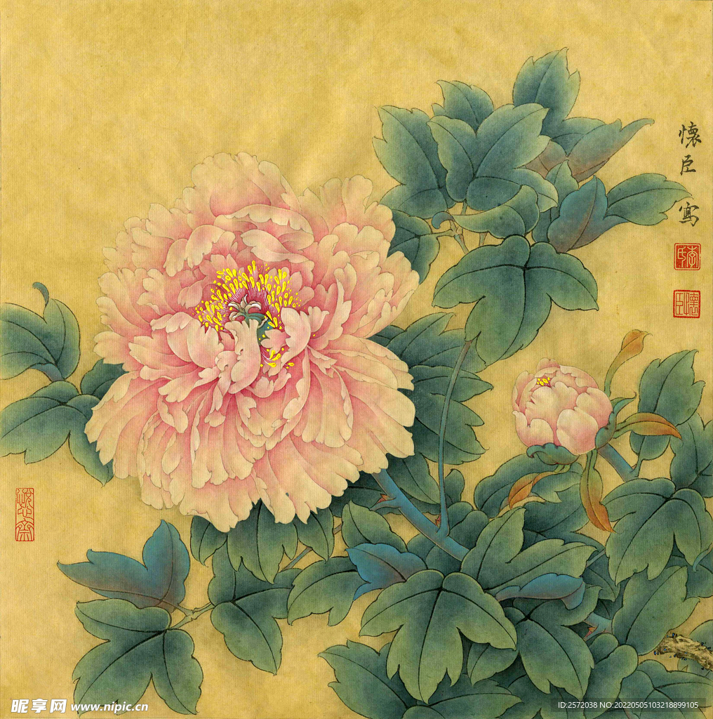 娇韵