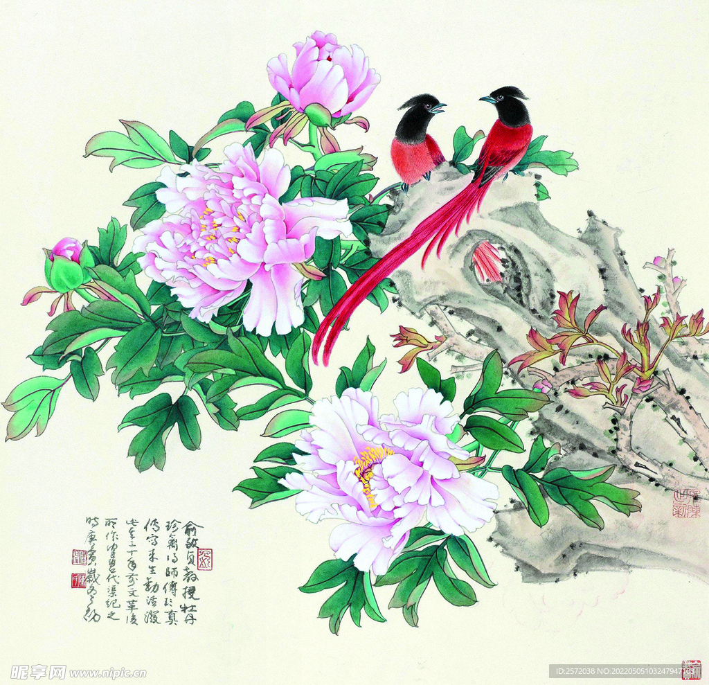 牡丹珍禽