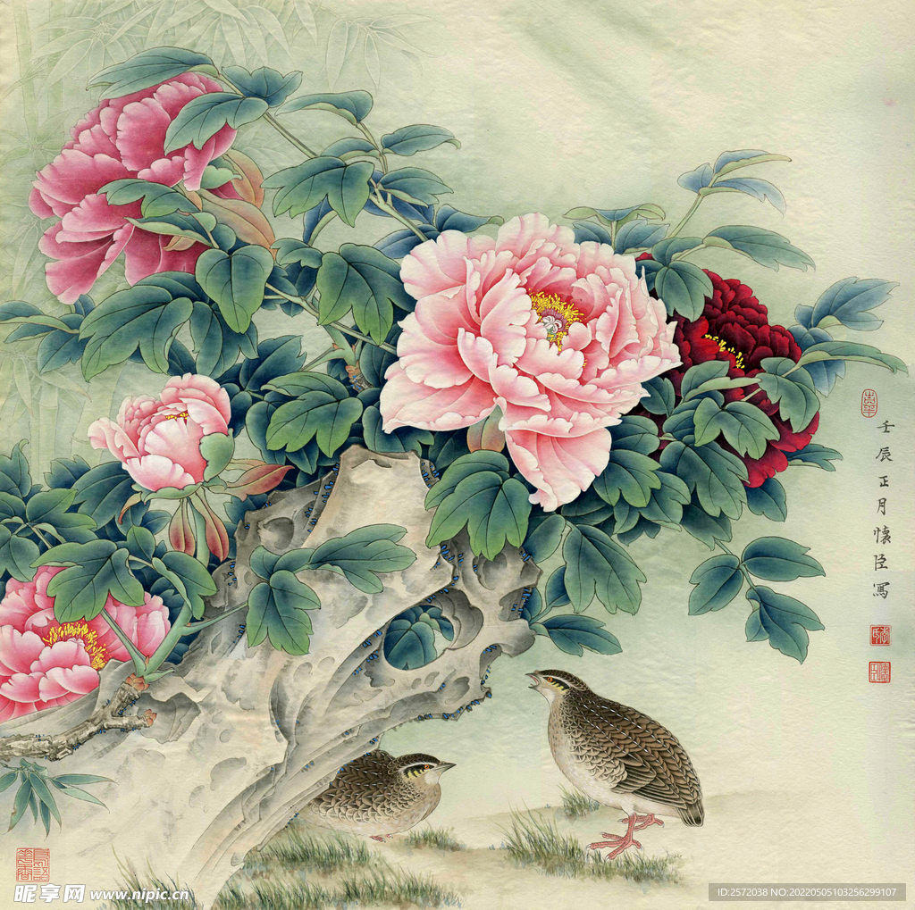 牡丹鹌鹑图