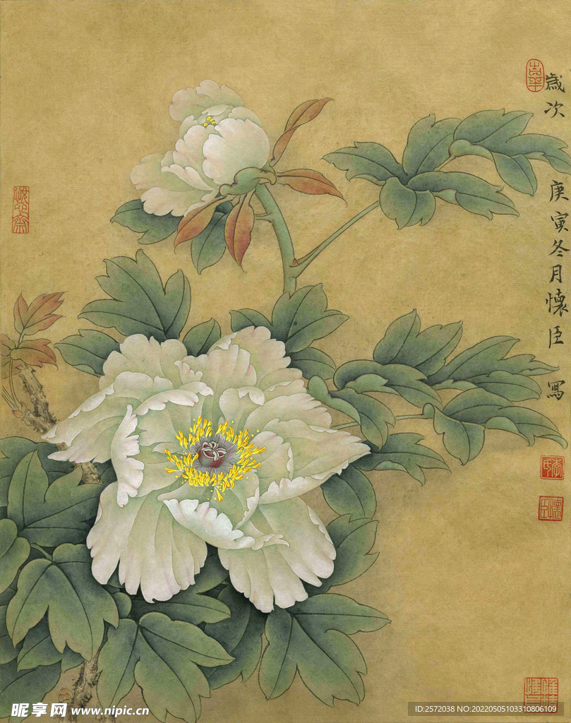 清芳