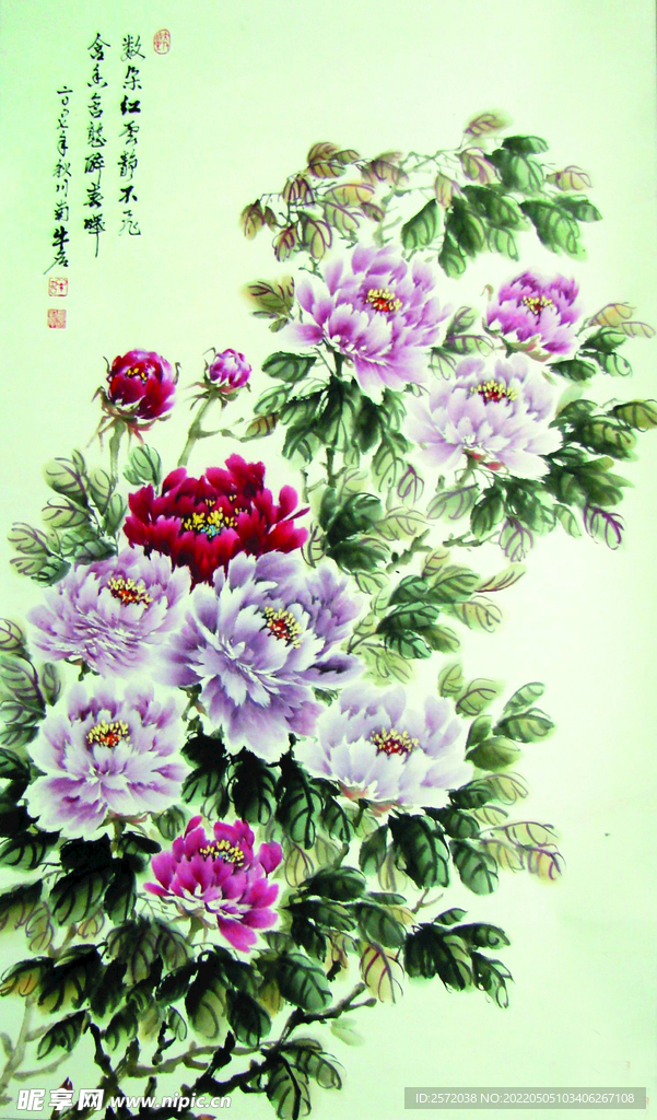 醉春晖
