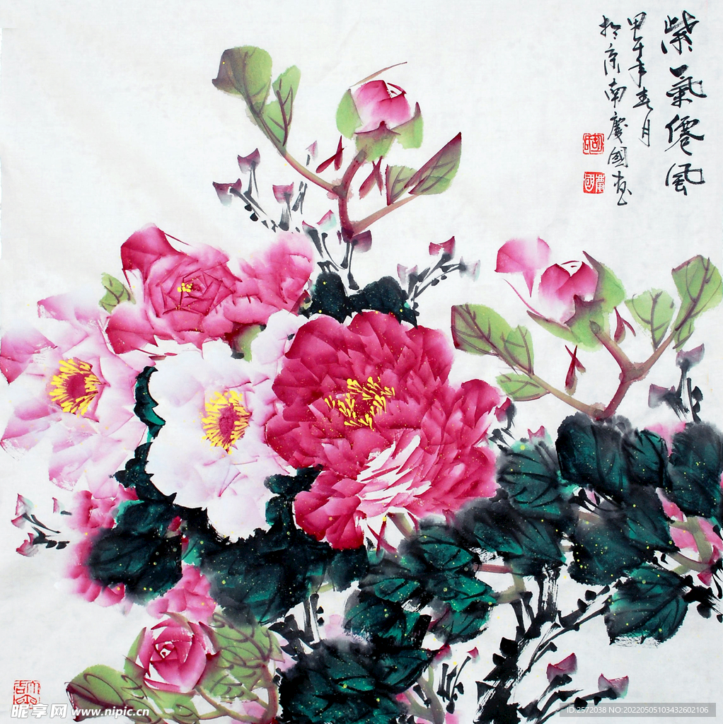 紫霞