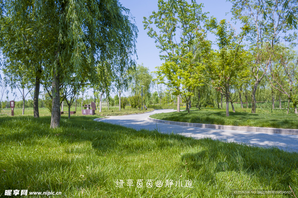 曲径通幽处绿草茵茵