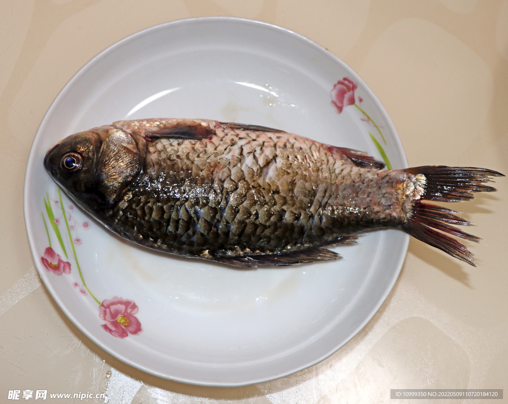 鲫鱼