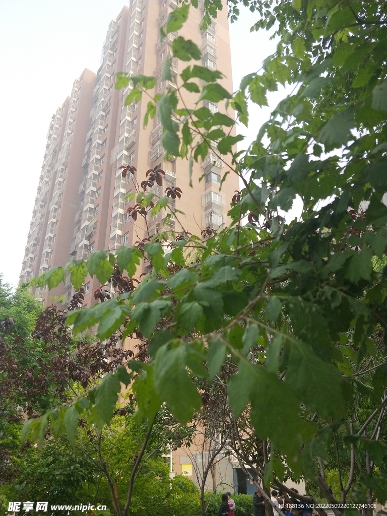 小区园林绿化