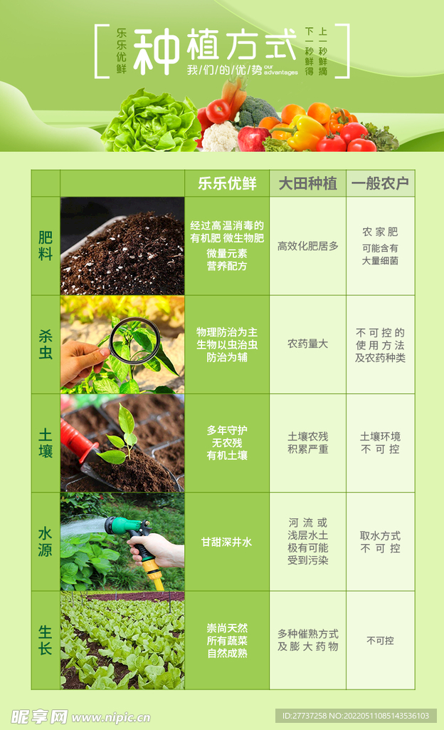 绿色大棚种植方式海报