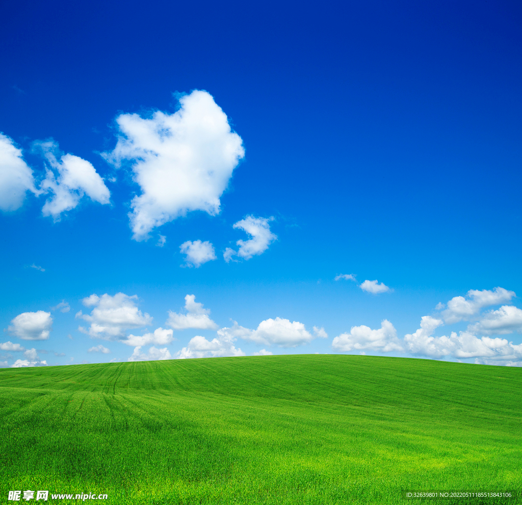 蓝天绿地背景