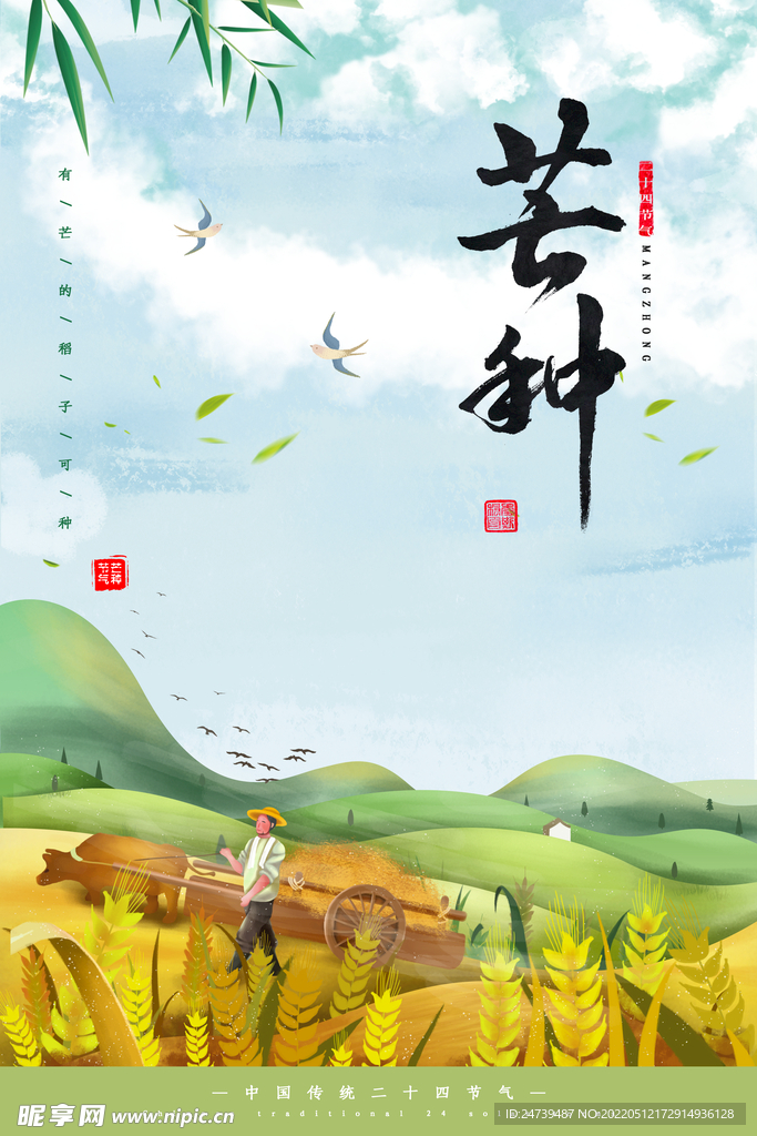 芒种