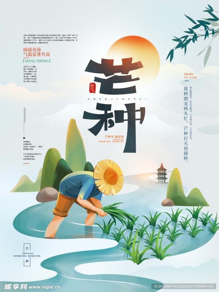 芒种海报