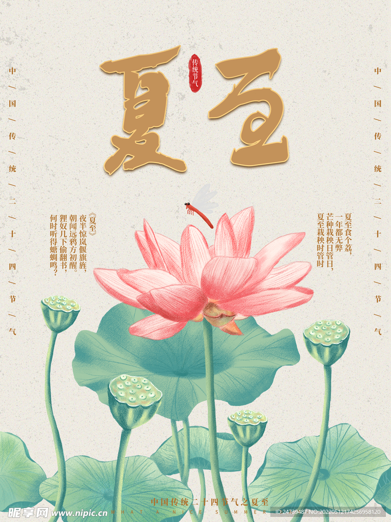 夏至莲花