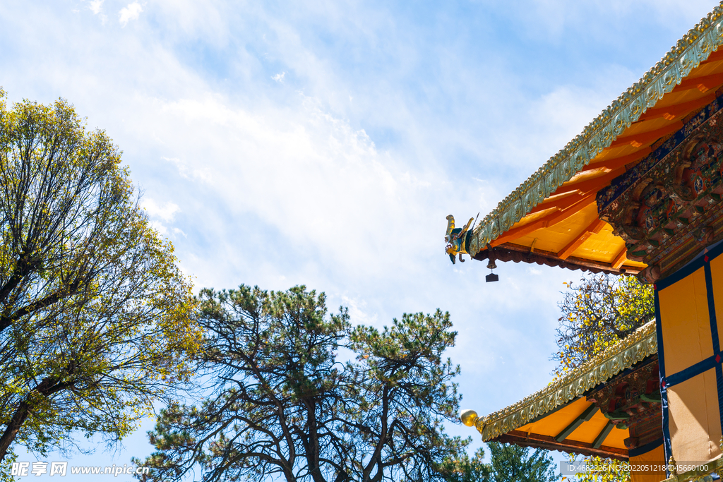 拉萨罗布林卡康松司伦屋角铃铛