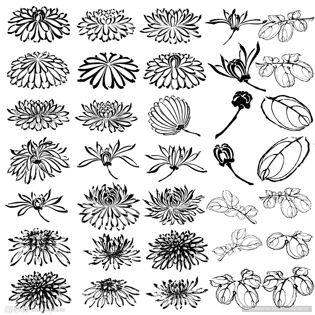 PS笔刷 菊花 国画