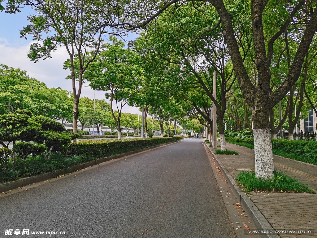 苏州夏天路边风景