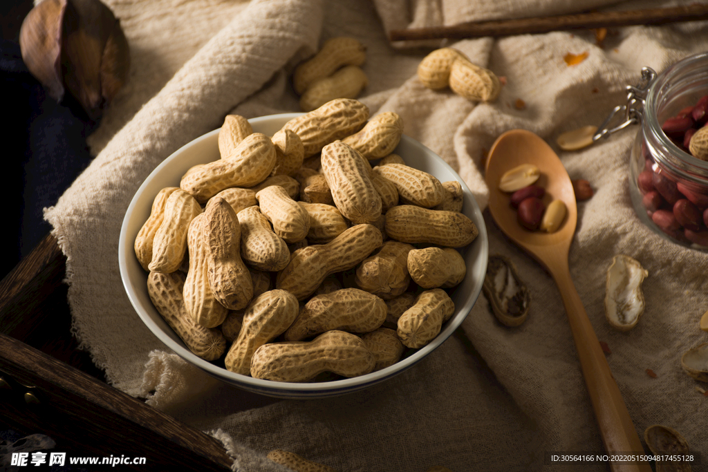 暗调花生食材零食