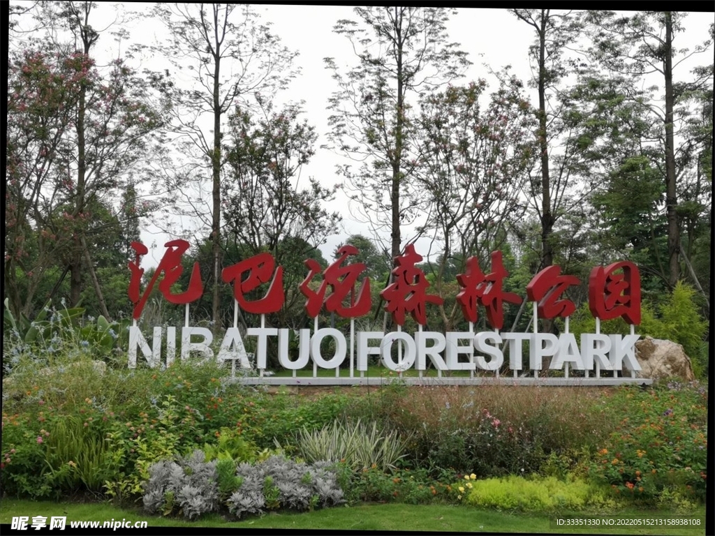 泥巴坨森林公园