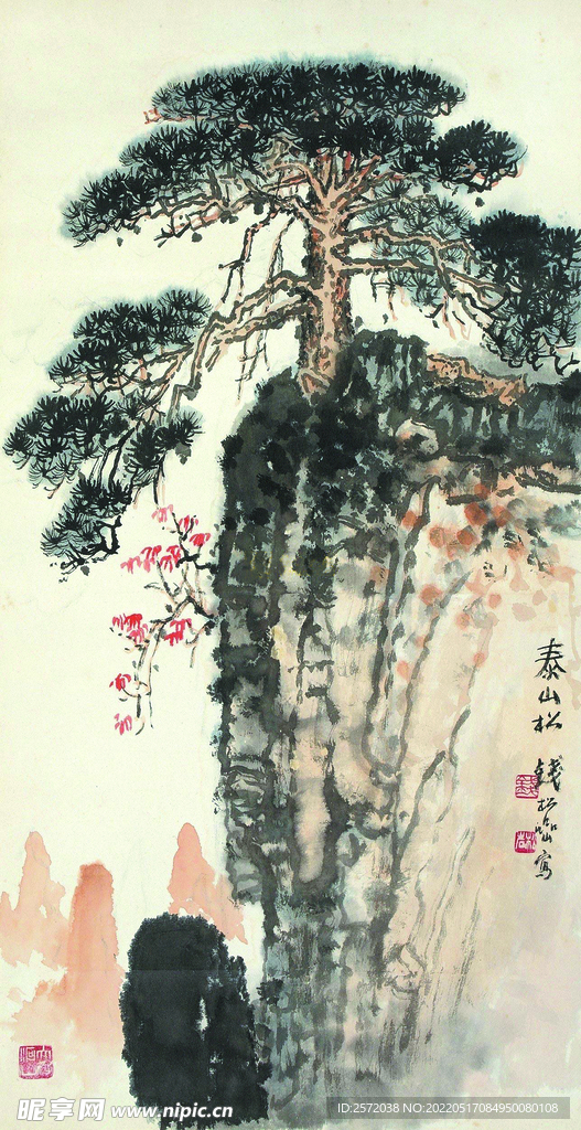 泰山松