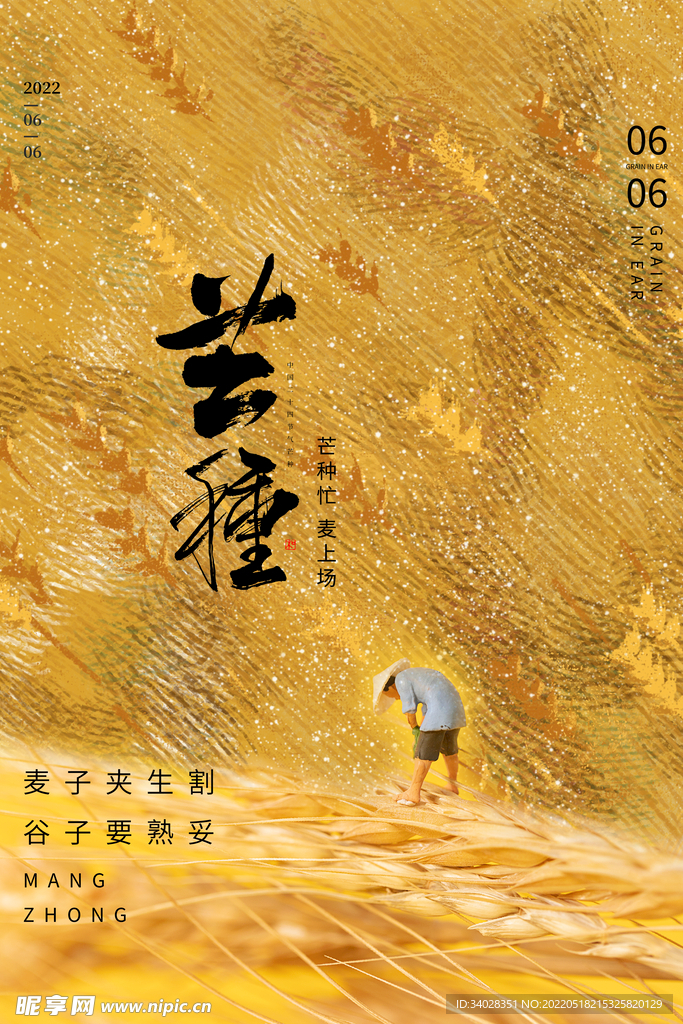芒种海报